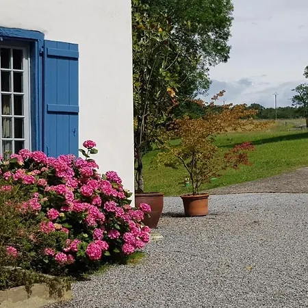 Bidachuna Saint-Pée-sur-Nivelle