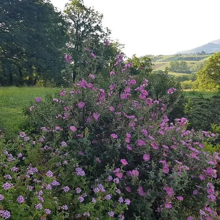 Bidachuna Maison d'hôtes 3*
