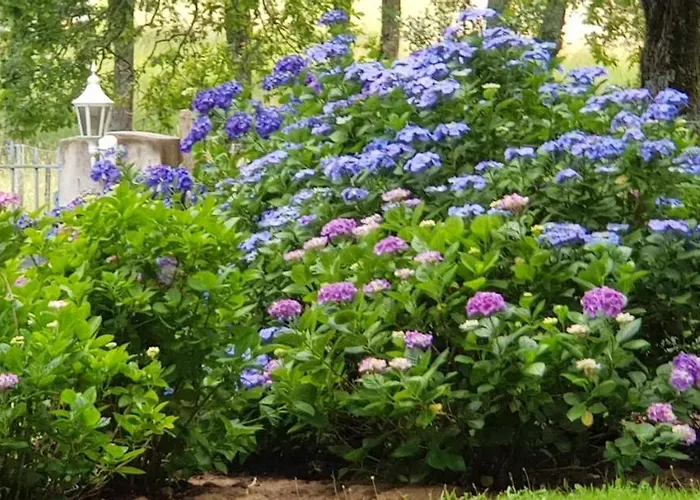 Bidachuna Guest house 3*