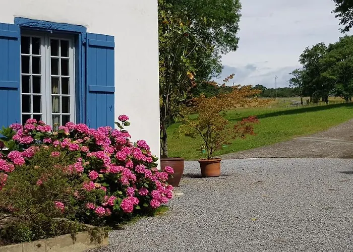 Bidachuna Saint-Pée-sur-Nivelle