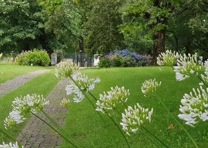 Bidachuna Gasthof Saint-Pée-sur-Nivelle