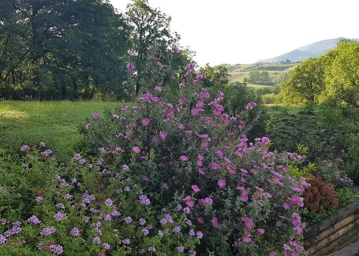 Bidachuna Gasthof 3*